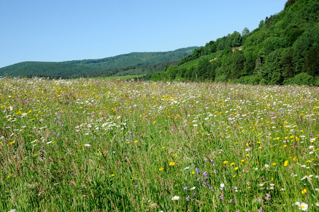 polana górska